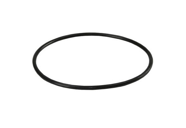 Уплотнительное кольцо для корпусов магистральных фильтров BigBlue