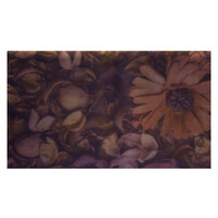 Коврик универсальный SHAHINTEX iMAX010 45х75