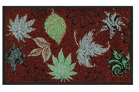 Коврик придверный влаговпитывающий SHAHINTEX Photoprint WASH and DRY 006 42х70