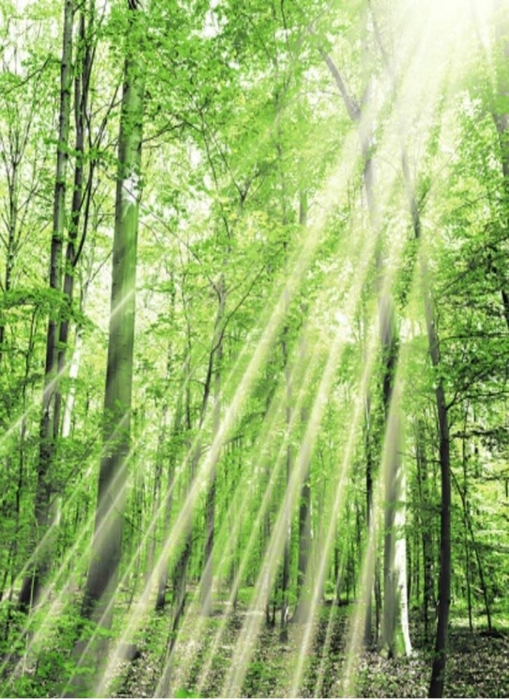 Штора д/ван "ZALEL" ФОТОПРИНТ 180х180 YGL DX-127