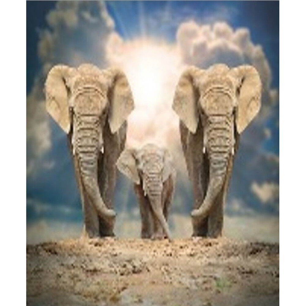 Штора д/ван "ZALEL" ФОТОПРИНТ 180х180 461390